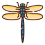 dragonfly
